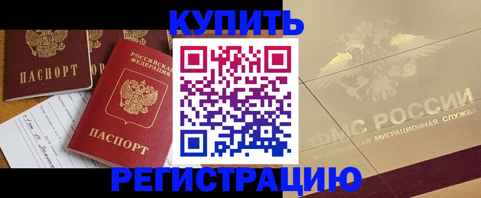 найти адрес прописки в Сольцах